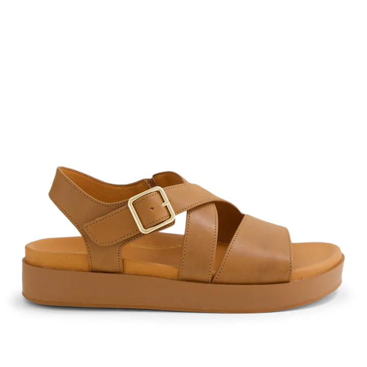 Glynice W Tan