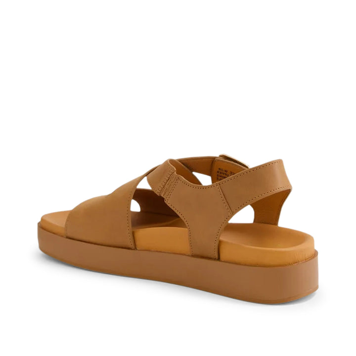 Glynice W Tan