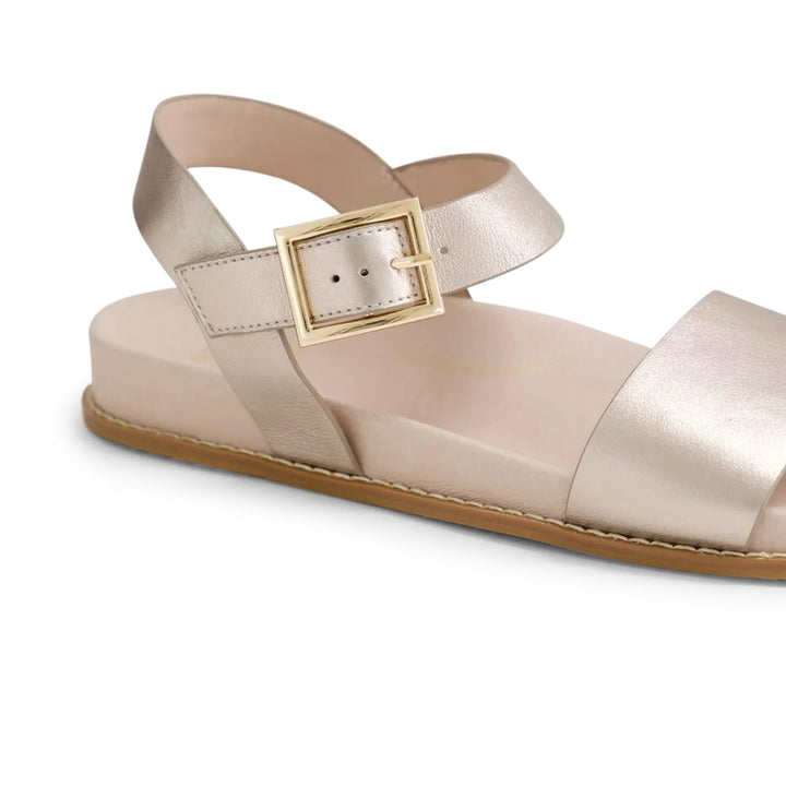 ZIERA Hammil W Champagne