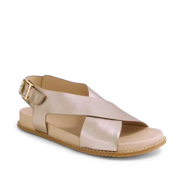 ZIERA Hanaho Champagne