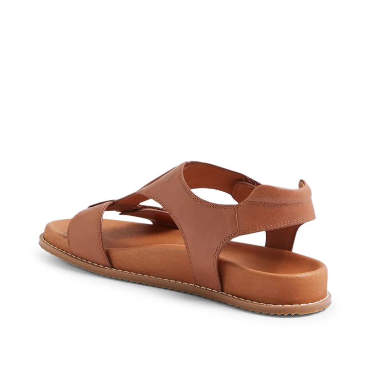 Handra W Tan
