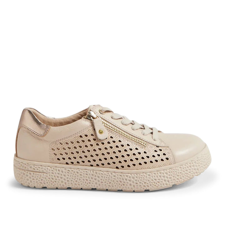 Oliviar XW Vanilla Champagne