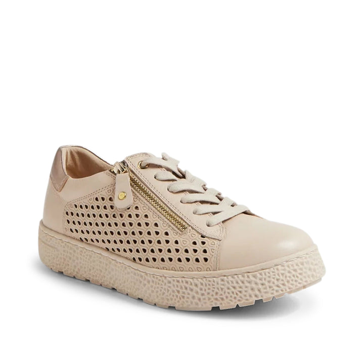Oliviar XW Vanilla Champagne