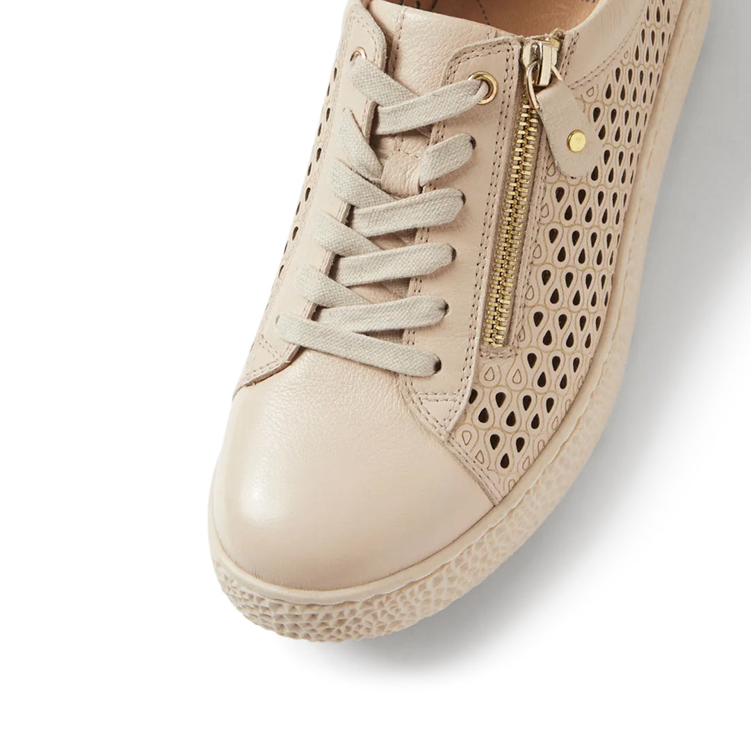 Oliviar XW Vanilla Champagne