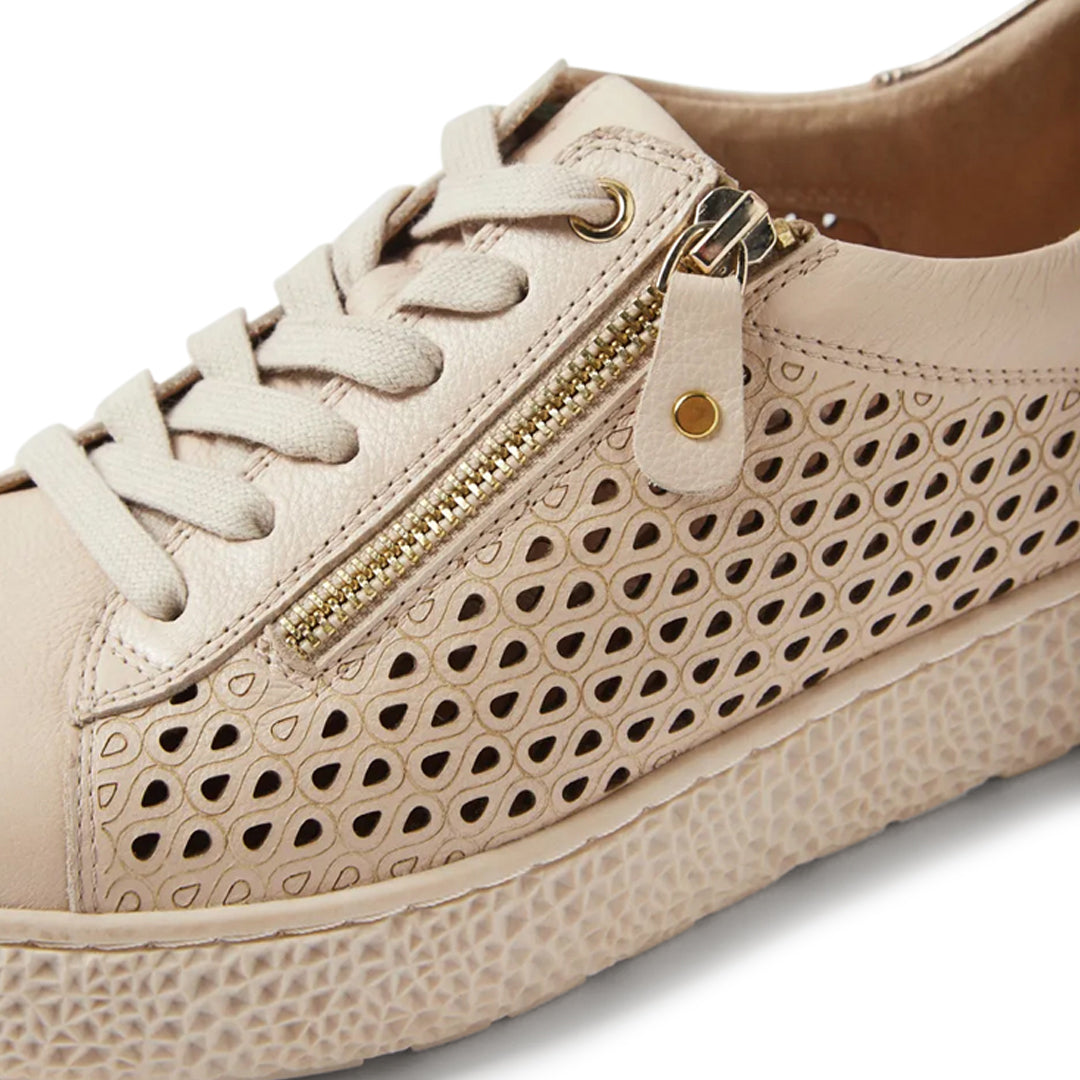 Oliviar XW Vanilla Champagne