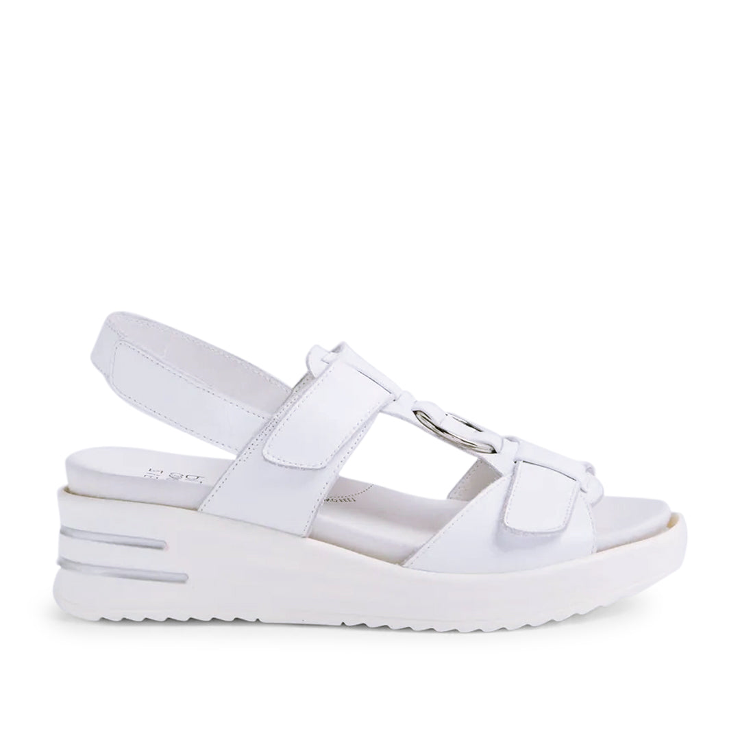 Sasson XW White