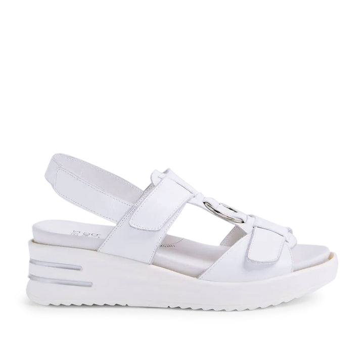 Sasson XW White
