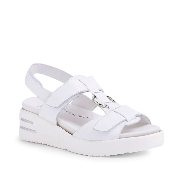 Sasson XW White