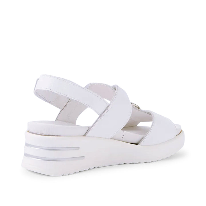 Sasson XW White