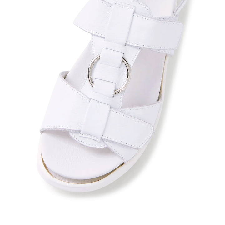 Sasson XW White