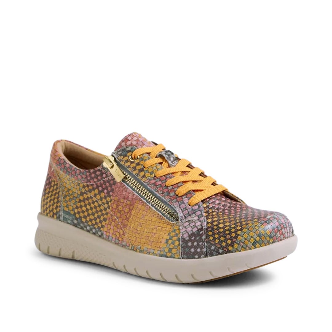 Solar XF Autumn Check