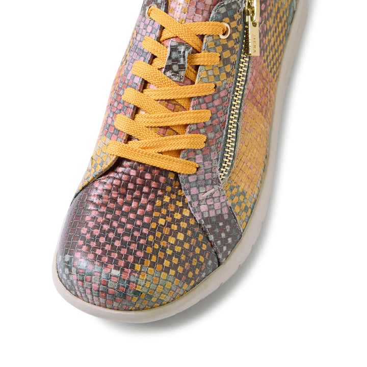 Solar XF Autumn Check