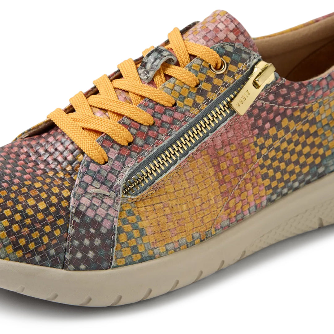 Solar XF Autumn Check