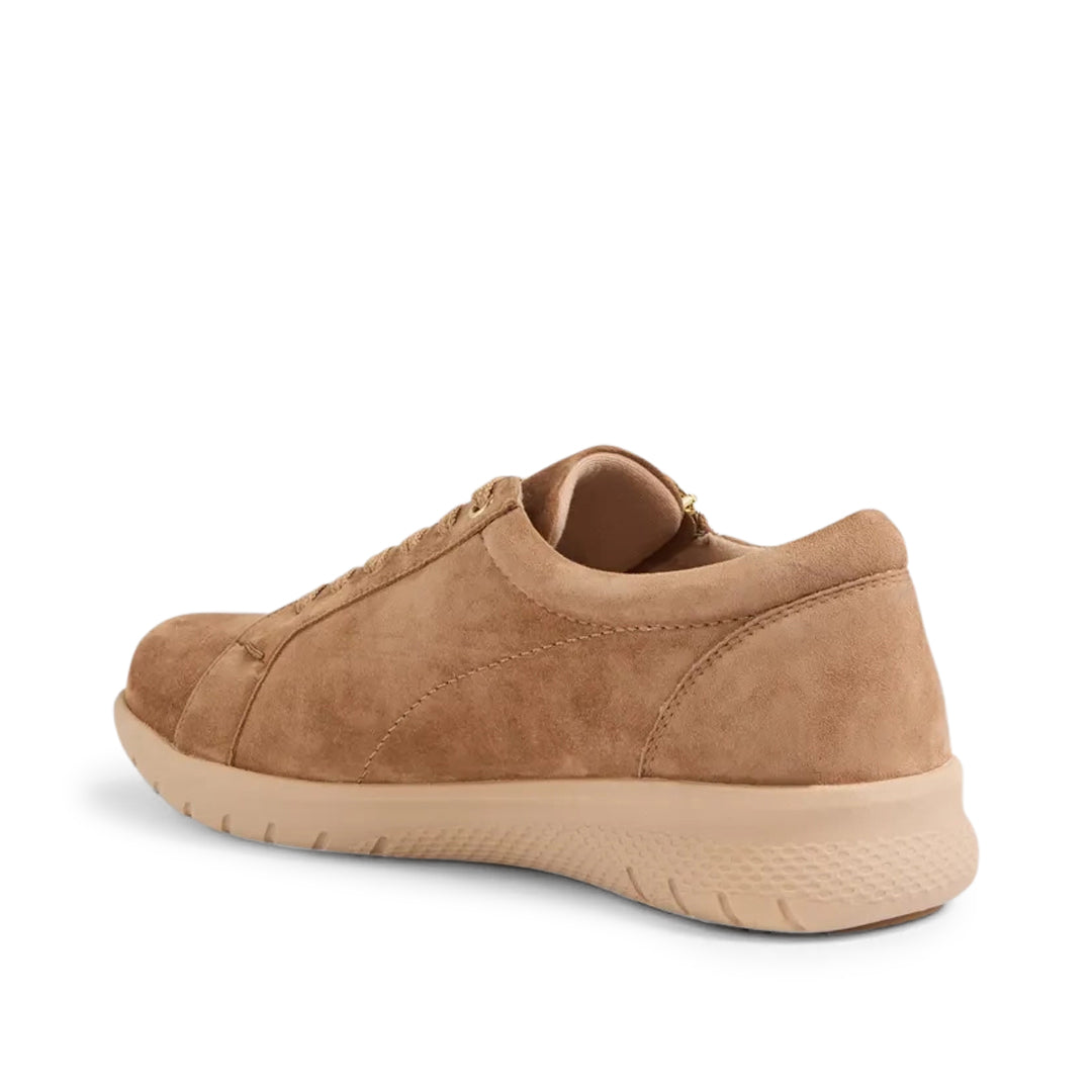 Solar XW Light Choc Suede