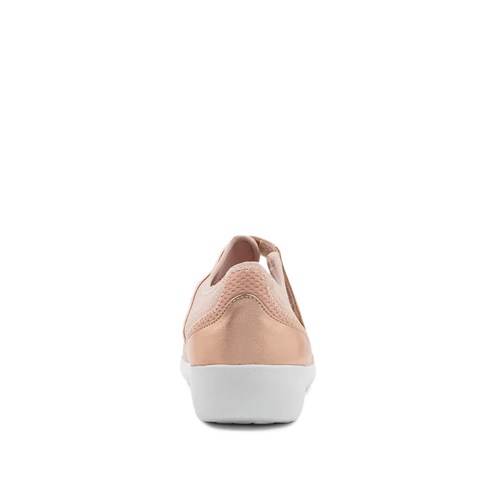 Ushery XF SeaShell