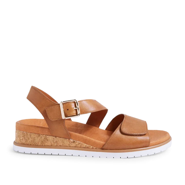 Vamsy W tan White