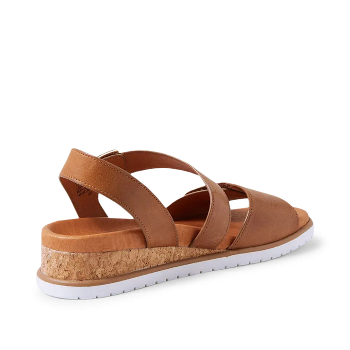 Vamsy W tan White