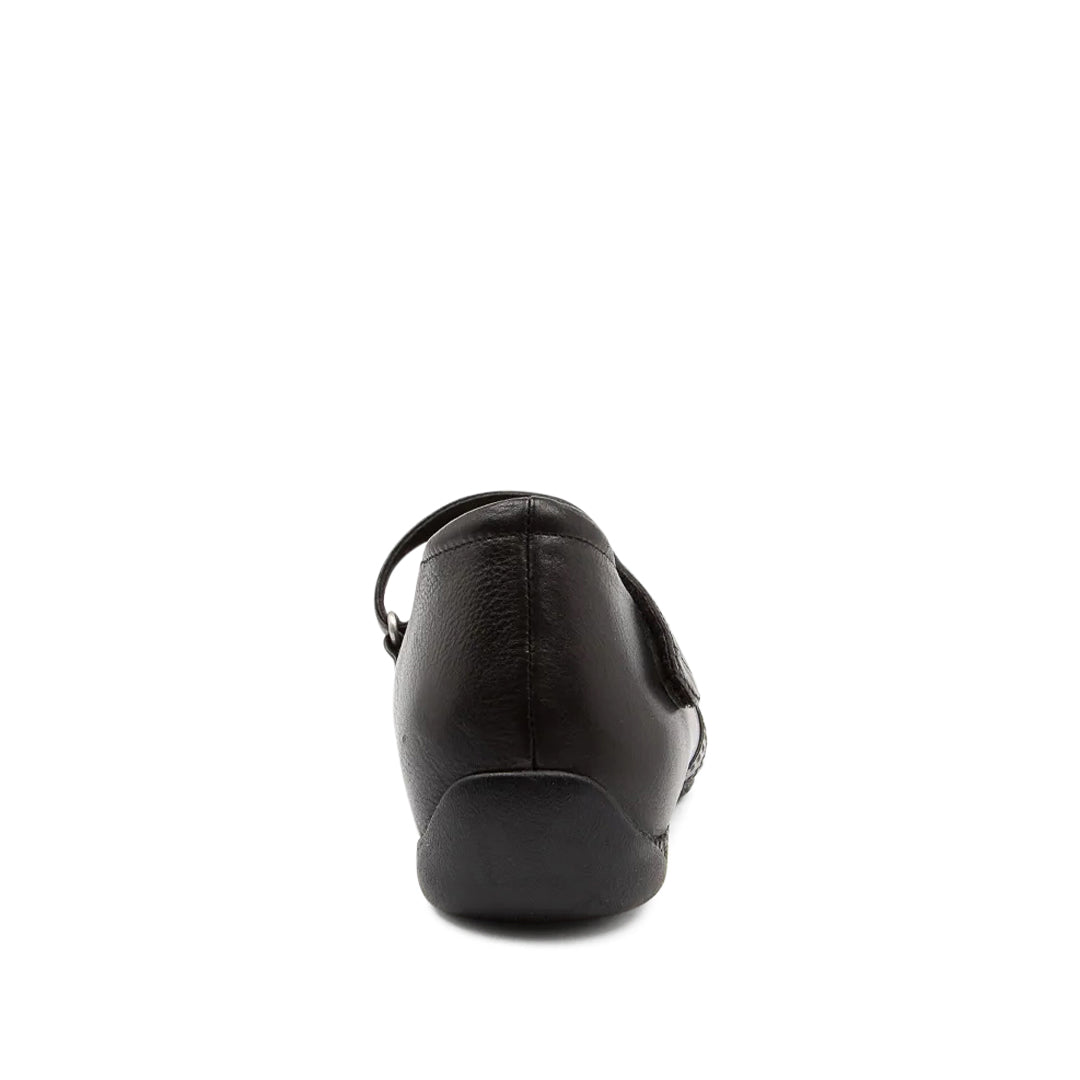 Xray W Black