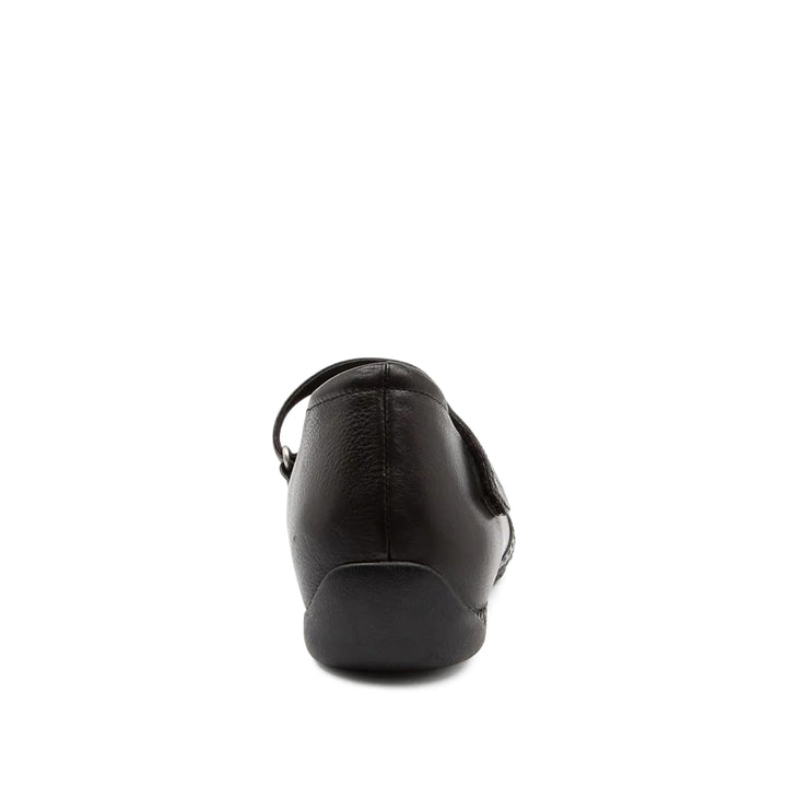 Xray W Black