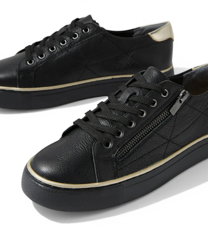 House of Florian black leather sneakers with side zip, lace-up front, and gold heel accent. Comfortable and stylish.