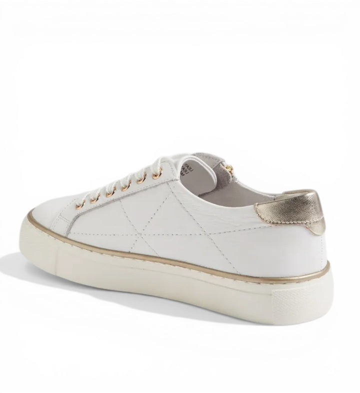 House of Florian white leather Pryor side zip sneakers with gold accents and quilted detail.