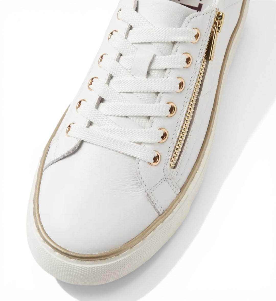 House of Florian white leather Pryor side zip sneakers with gold hardware and white laces.