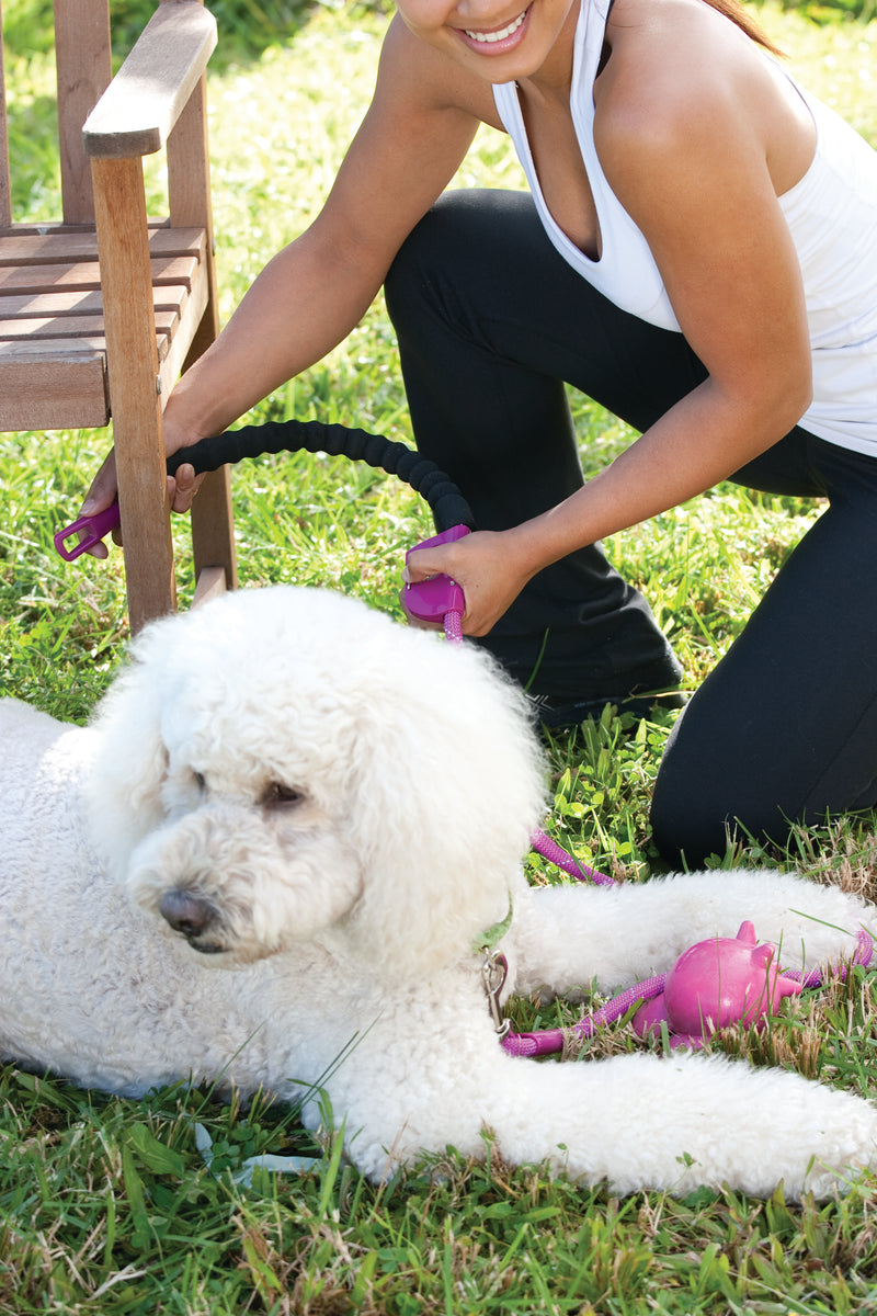 Snap and Stay Dog Leash - Black